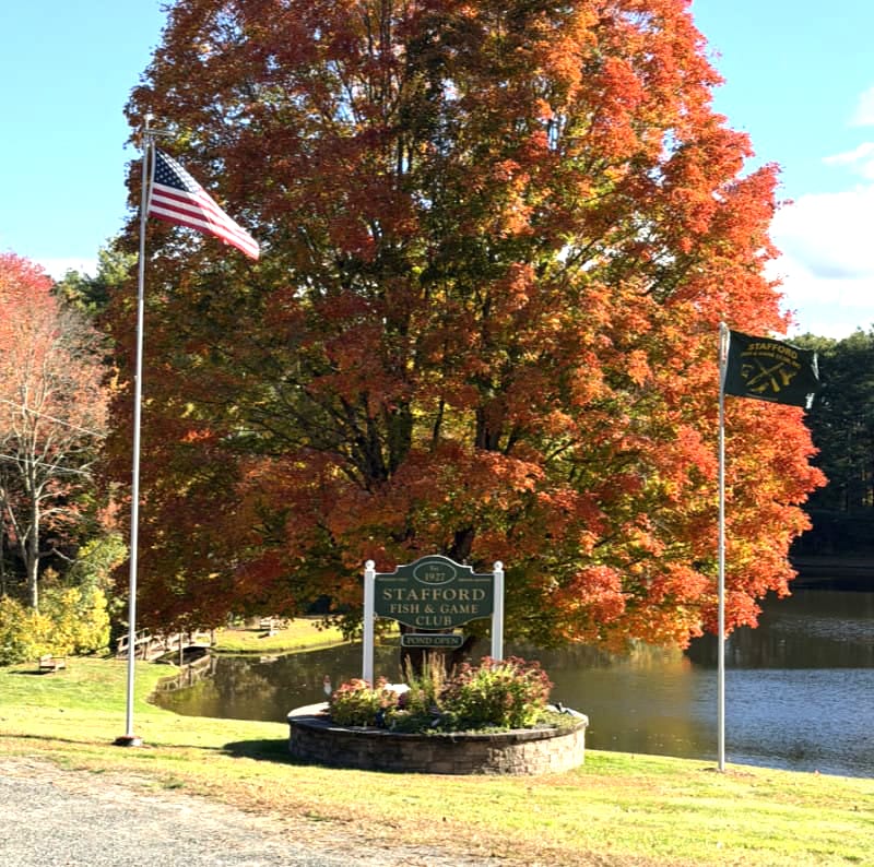 Fall at SF&GC